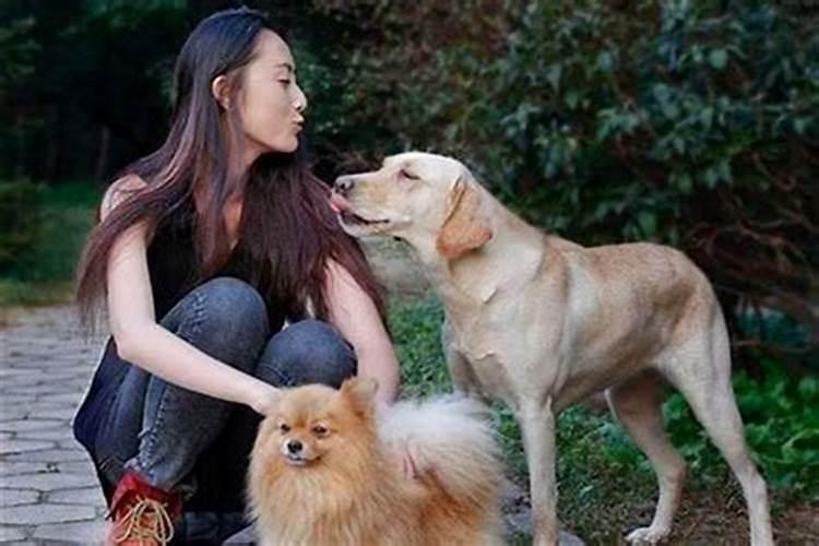 属犬不能与什么属相婚配呢