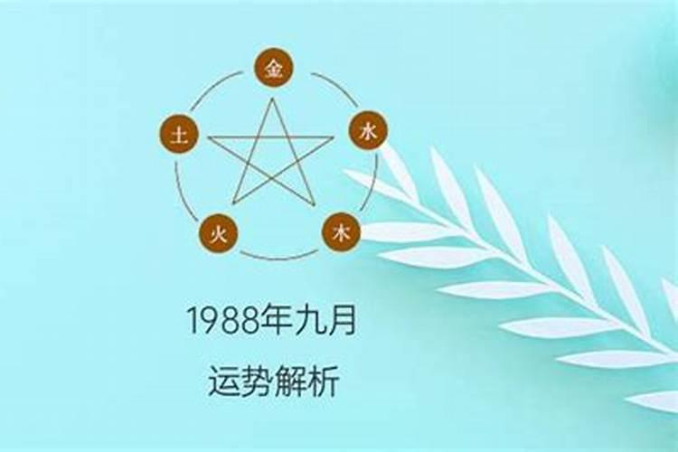 1988年九月初九什么命