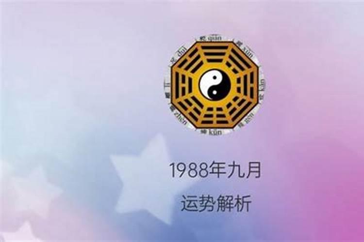 1988年九月初九什么命