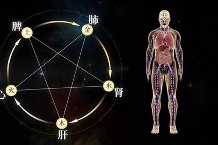 阴阳五行与人体五脏的关系