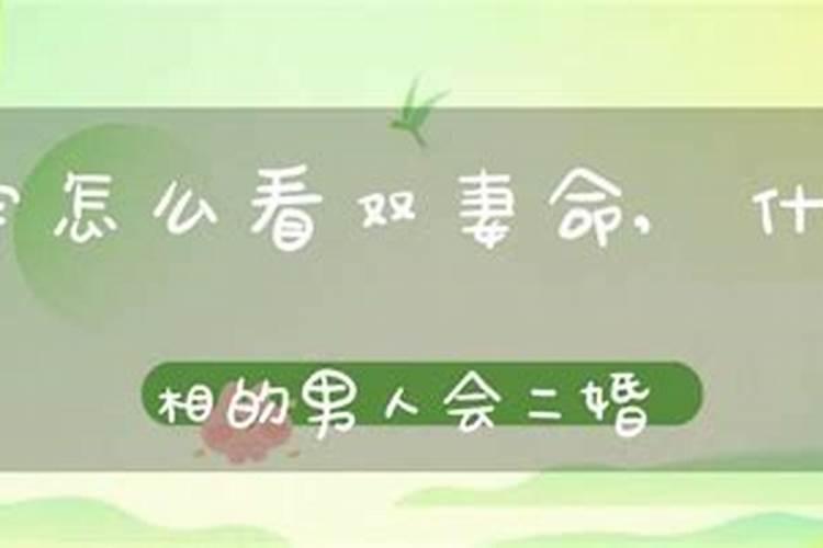 男命双妻八字