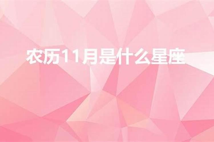 农历11月1日出生的是什么星座