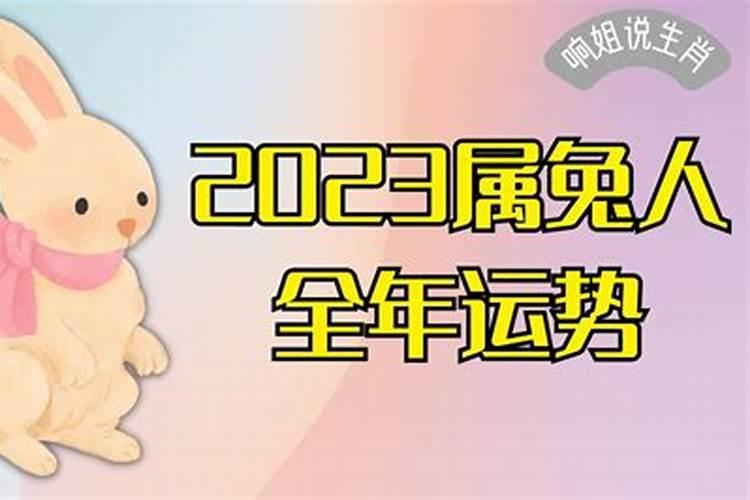 2017属兔人全年运势