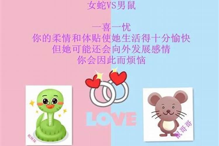 属鼠的嫁给属鼠的人会幸福吗