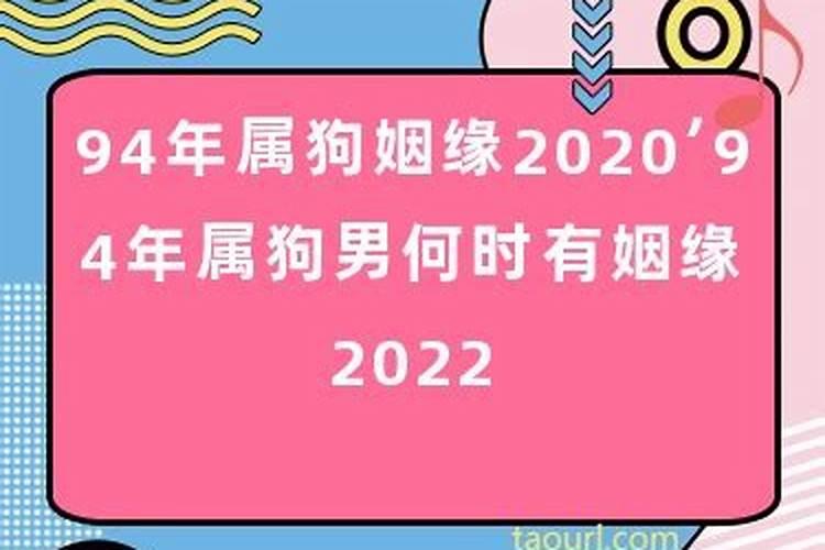 和谐的婚姻关系是怎么样的