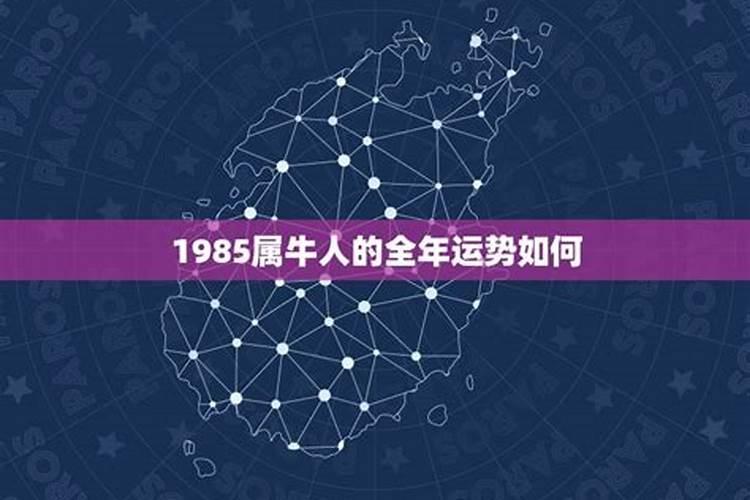 1985属牛人一生运势