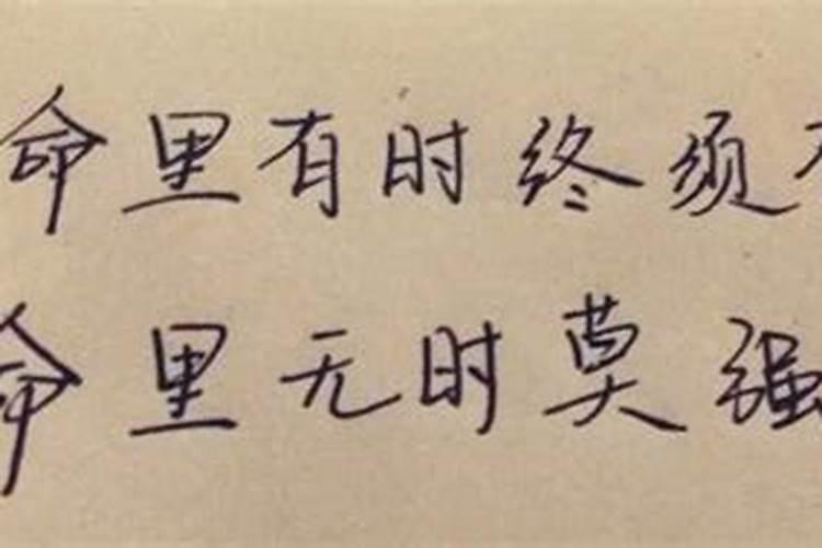 命里有时终须有是什么数字