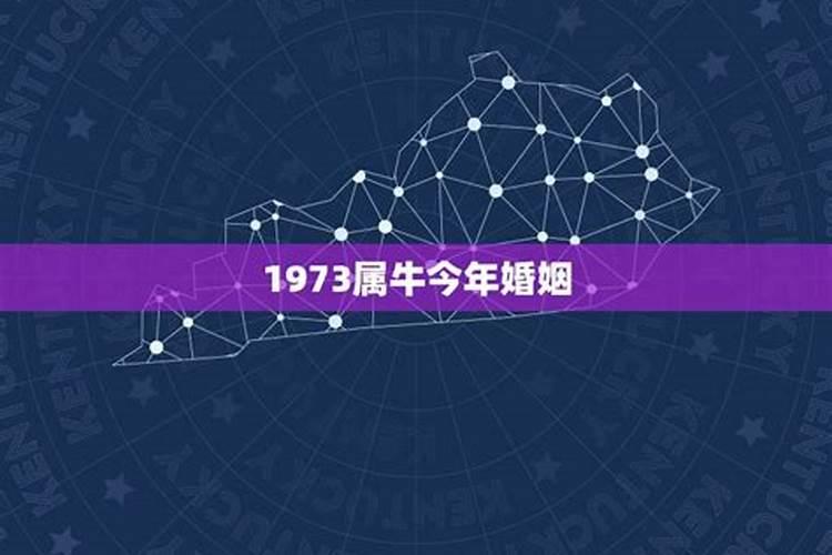 1973年属牛今年婚姻顺吗