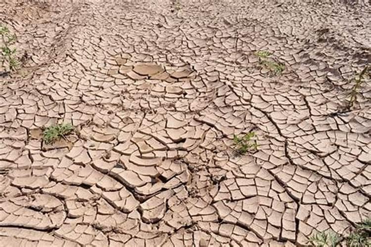 梦见湖水迅速干枯什么意思