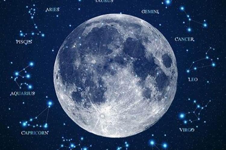 月亮星座影响外貌