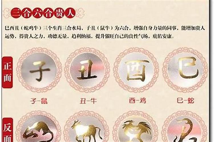 属虎的跟属狗的八字合不合婚