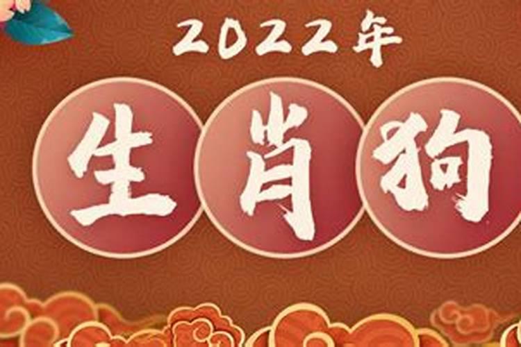 十二生肖运势2023年运程董易奇狗