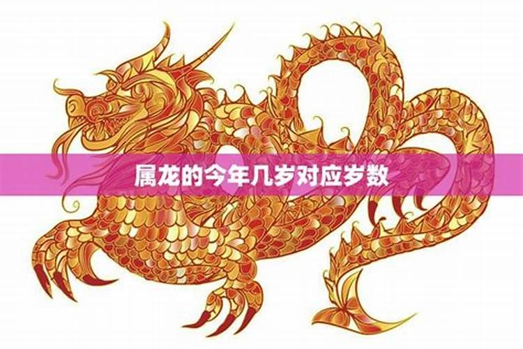 今年属龙几岁了