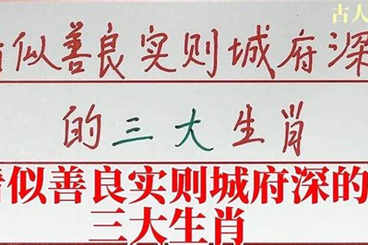 什么属相城府深