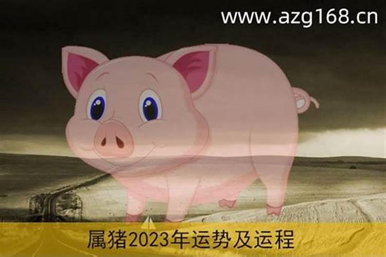 2023属猪的全年运势和运程