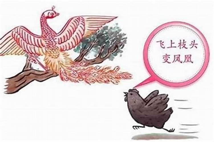 属鸡什么时辰出生命好