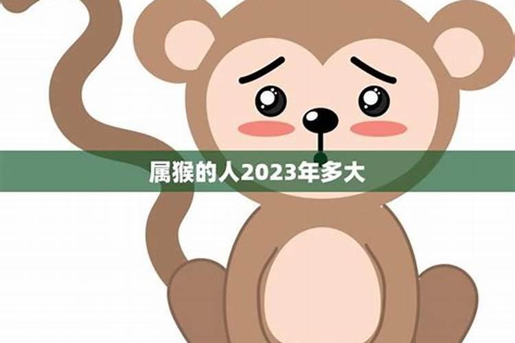 属猴的人2023年多大