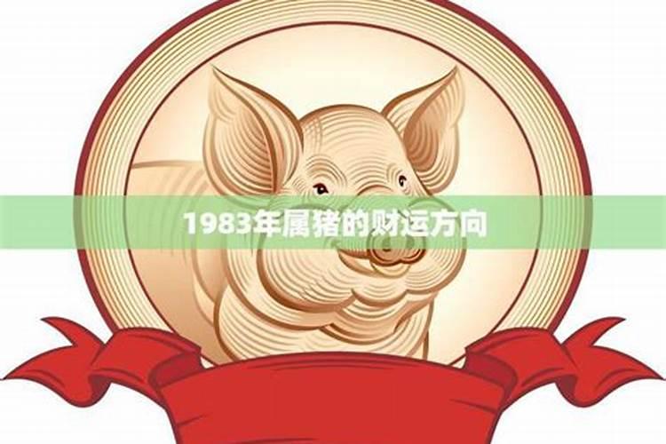 1983年属猪今年的财运方向