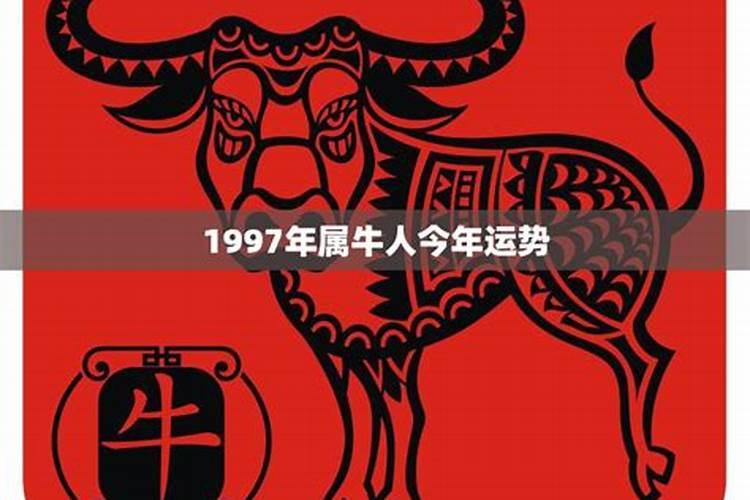 1997年属牛人今年运势