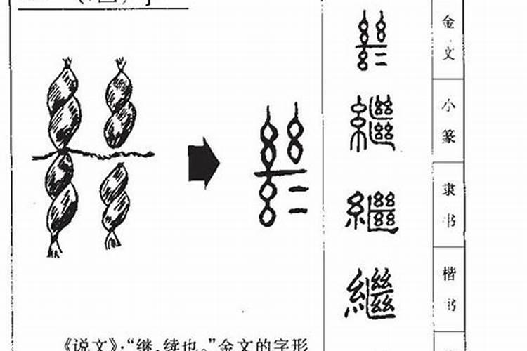 梨字五行属什么女孩含义及寓意