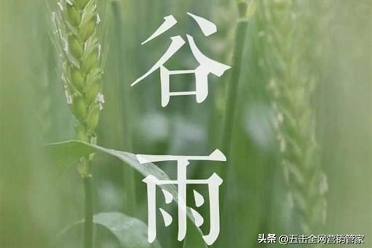 清明谷雨是哪一个季节