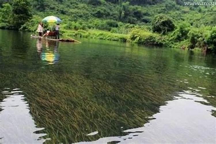 梦到河水过不去路什么意思