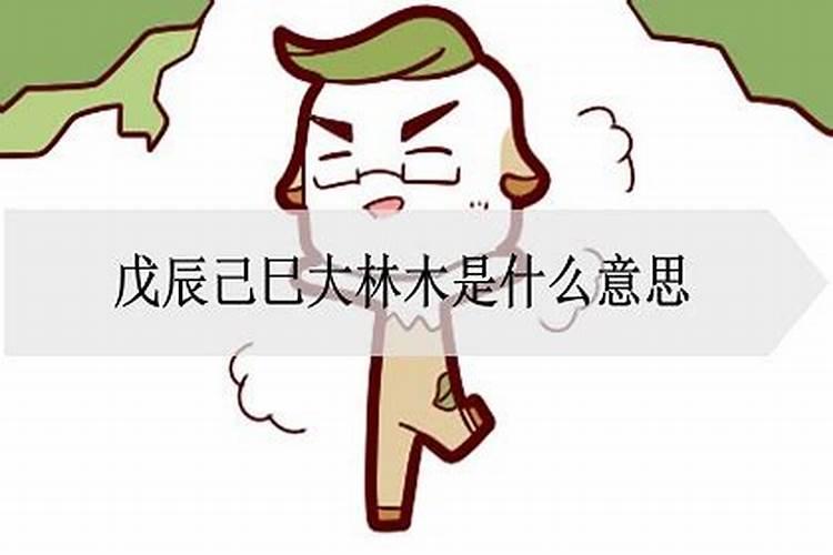 大林木是什么生肖属性