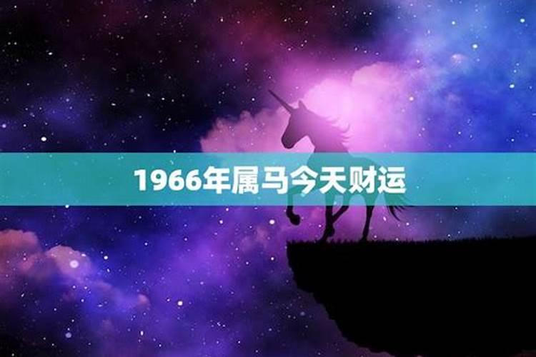 1966男性属马今年运势