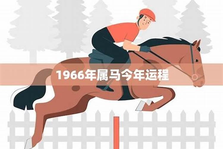 1966男性属马今年运势