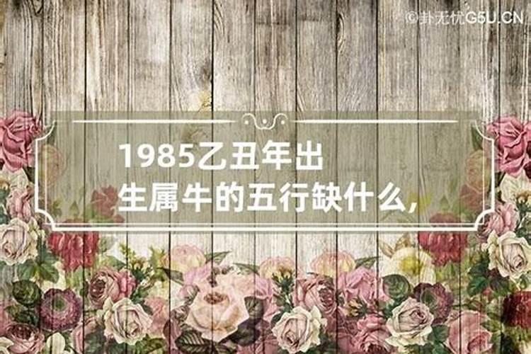 1985的牛属什么五行