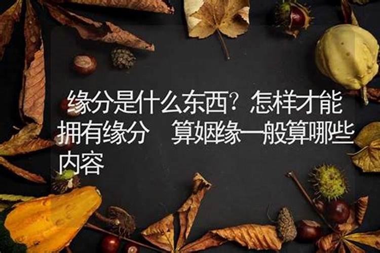 算姻缘都需要提供什么