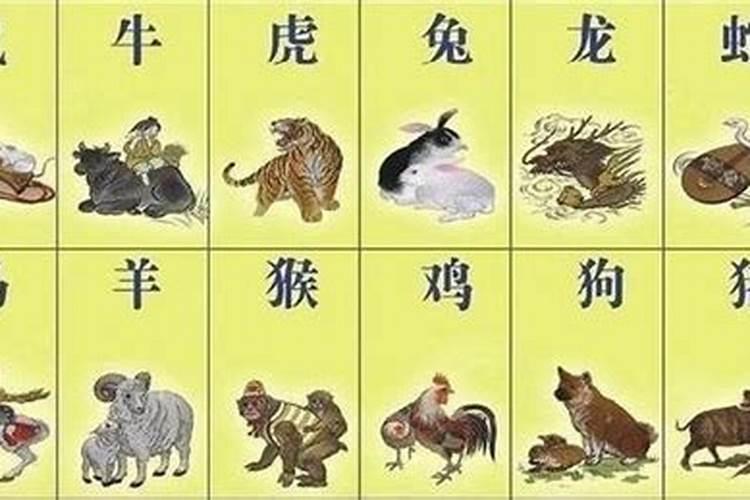 生辰八字是个啥?