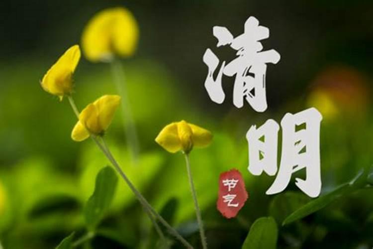 当年清明节前的新坟是否需祭扫