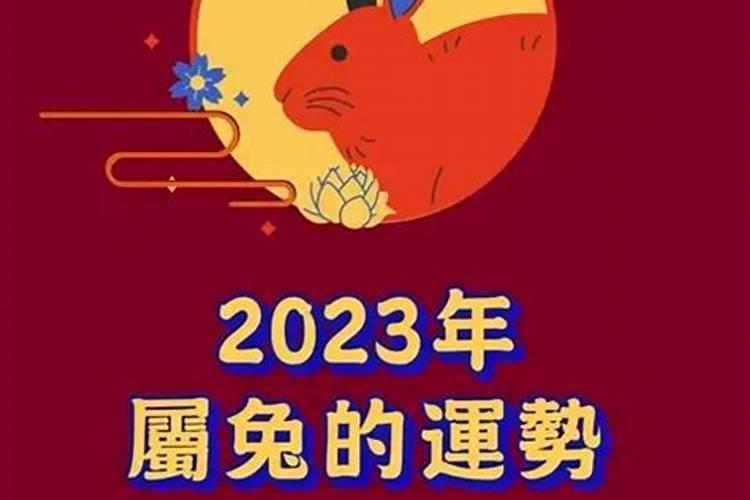 属兔犯太岁都在什么年份