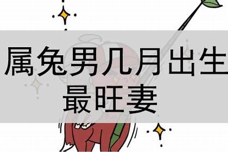 属兔男几月份出生最好命