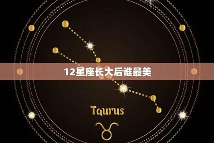 12星座长大之后都是什么职业