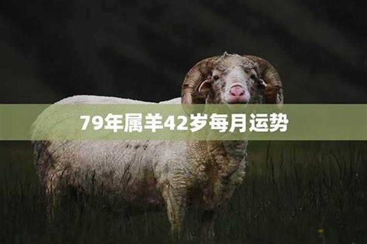 79年属羊42岁是什么命