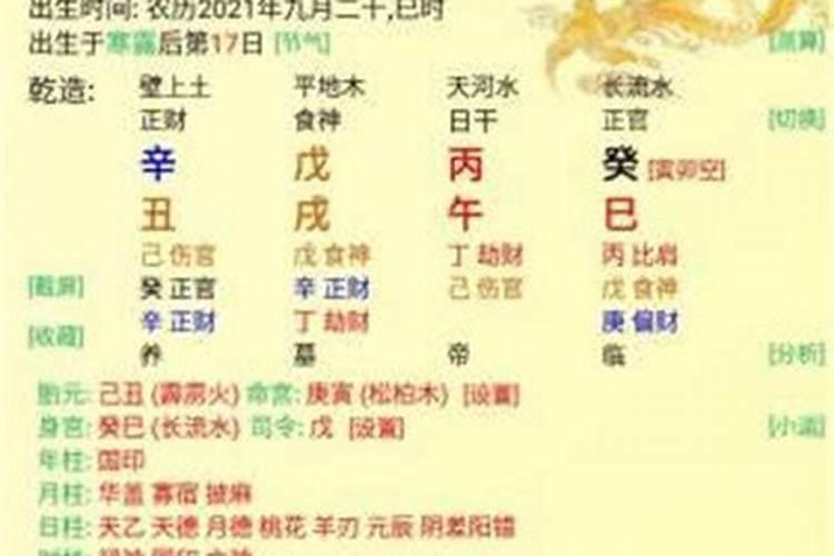 八字排盘宝有什么作用