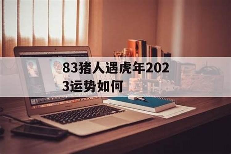 猪人遇虎年2023运势如何