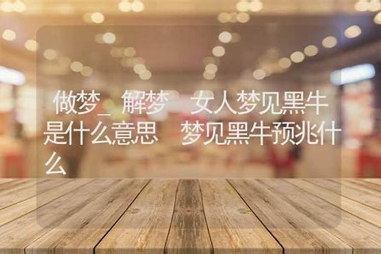 出道仙梦到牛是什么意思