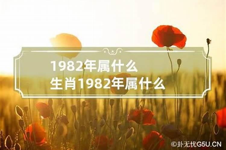 1982年属什么生肖属相的大了