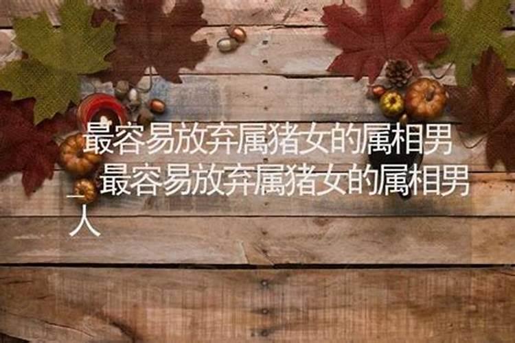 属相婚配猪和狗怎么样