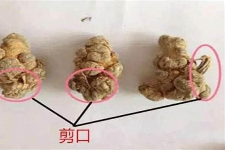 三七做法事要注意什么