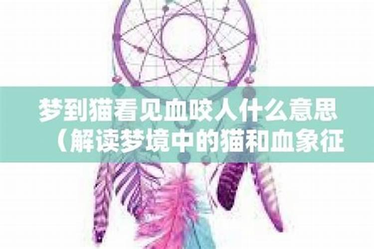 做梦梦见猫咬人是什么意思