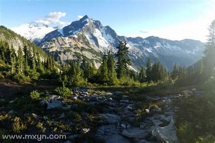 梦见山上涨水顺流而下什么意思