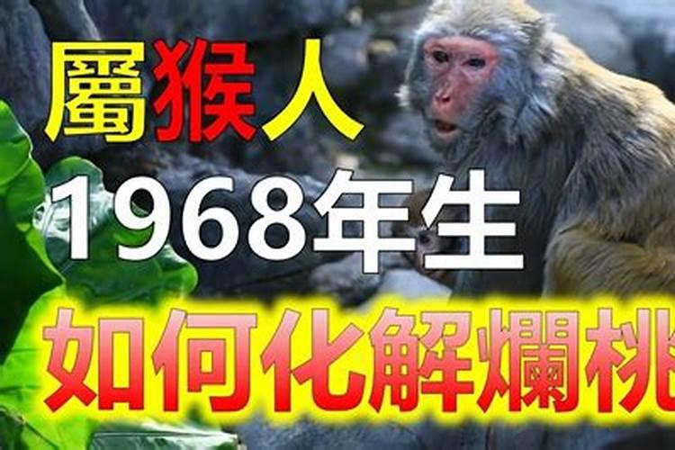 68年猴男水瓶座阳历12月24的运势