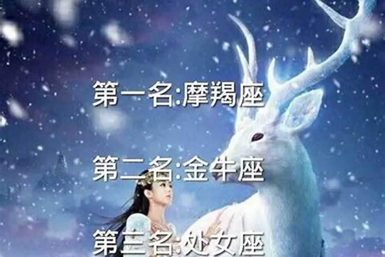 喜欢主动女生的星座男