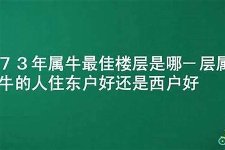 属牛的人适合住哪个楼层