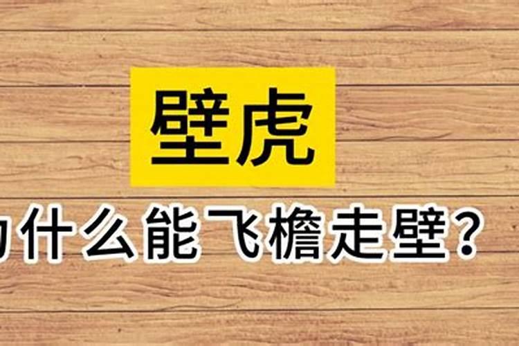 飞檐走壁无人及猜一生肖