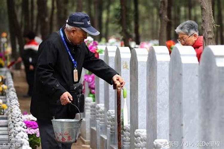 清明祭祖早晚